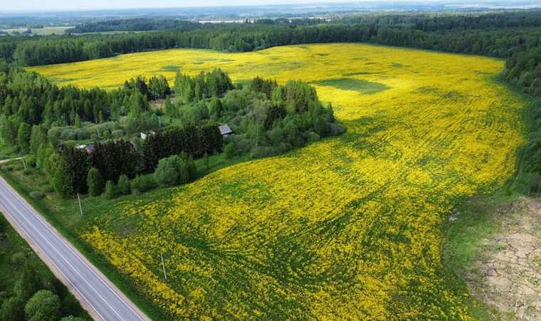 Россия начала конфискацию земель украинцев на приграничных территориях