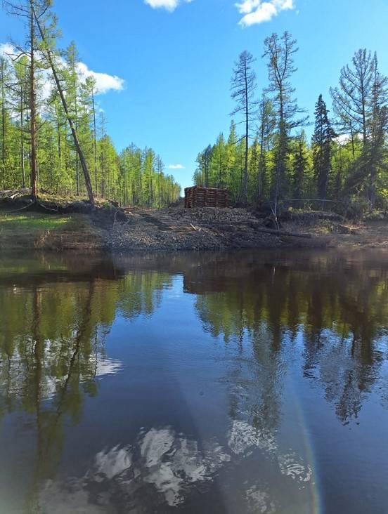 Незаконная дамба в тайге (фото: Дмитрий Голованов) qkzikuidduidzrrmf